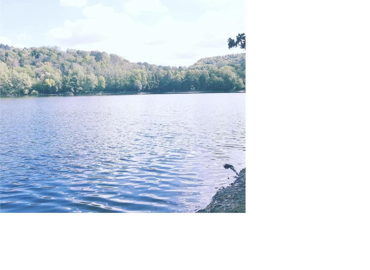 Natur Pur Frielendorf المظهر الخارجي الصورة