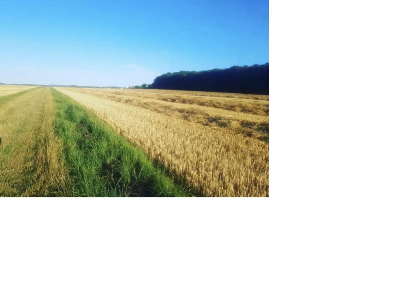 Natur Pur Frielendorf المظهر الخارجي الصورة